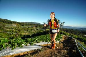 BIB: 2626, , 
                            <button type="button" onclick="openModal(19117013)" class="btn btn-primary btn-sm float-right btn-popup" data-toggle="modal" data-target=".modal-high-quality">
                        <i class="fas fa-shopping-cart"></i> Add to Cart
                    </button>
                                            <button type="button" onclick="isThisMe(19117013, true)" class="btn btn-success btn-sm float-right btn-popup btn-isme hidden" data-toggle="tooltip" data-placement="bottom" title="นี่คือรูปของคุณใช่ไหม คลิกที่นี่เพื่อเอาเข้าอัลบั้ม">
                        <i class="fas fa-plus"></i> Add to album
                    </button>
                    <button type="button" onclick="isThisMe(19117013, false)" class="btn btn-warning btn-sm float-right btn-popup btn-isnotme hidden">
                        <i class="fas fa-ban"></i> Remove from album
                    </button>